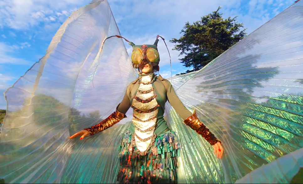 New acts announced for Dragonfly Festival